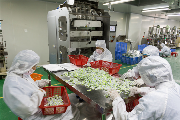 المجفف المنخل الجزيئي